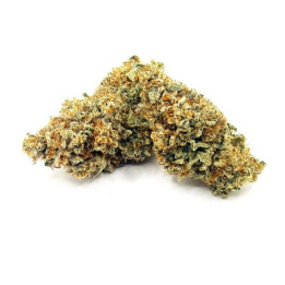 Daifuku CBD Premium | Fleur Winner Cannabis Cup CBD